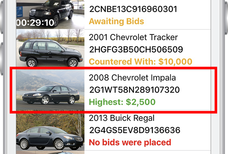 Vidbid bidding screen