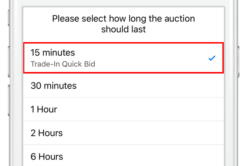 Vidbid quick bid bidding screen