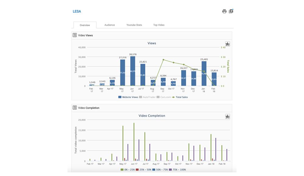 LESA video marketing statistics