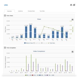 LESA video marketing statistics